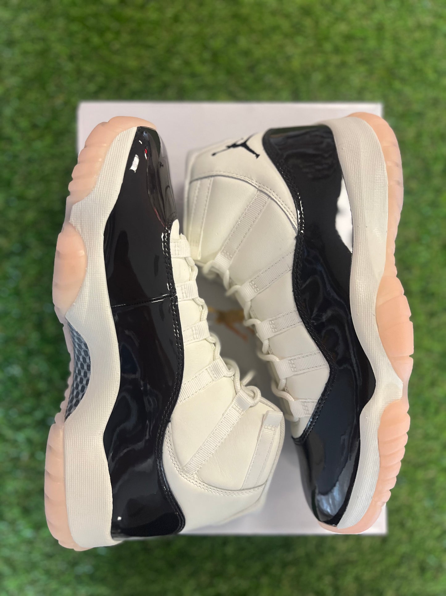 Jordan 11 High Neapolitan (11WMS)